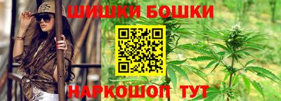 spice Кингисепп
