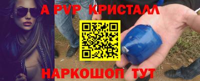 spice Кингисепп